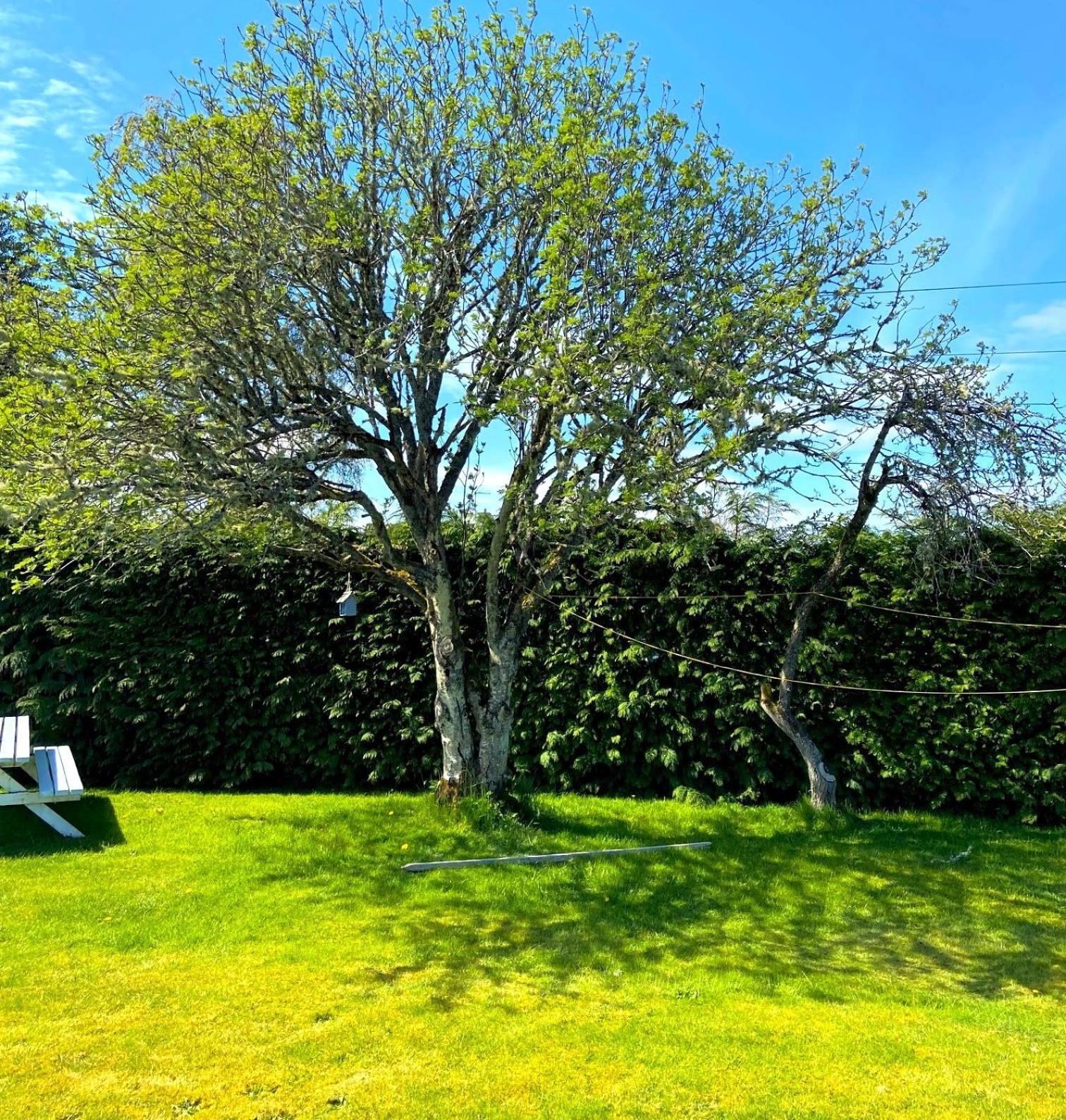26 Green Drive Inverness Inshes 外观 照片